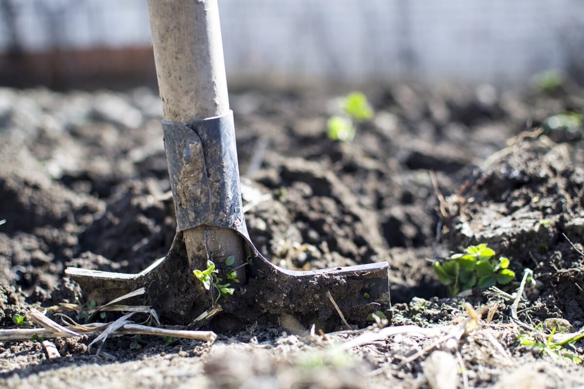 Gartenarbeit
