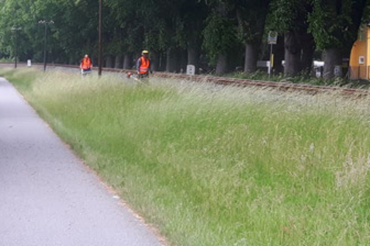 Holztransport, Mäharbeiten, Landschaftspflege