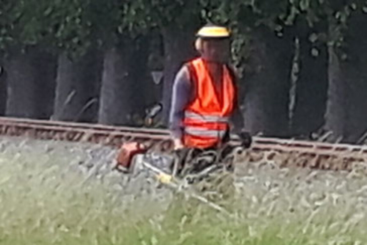 Landschafts- und Gartenpflege