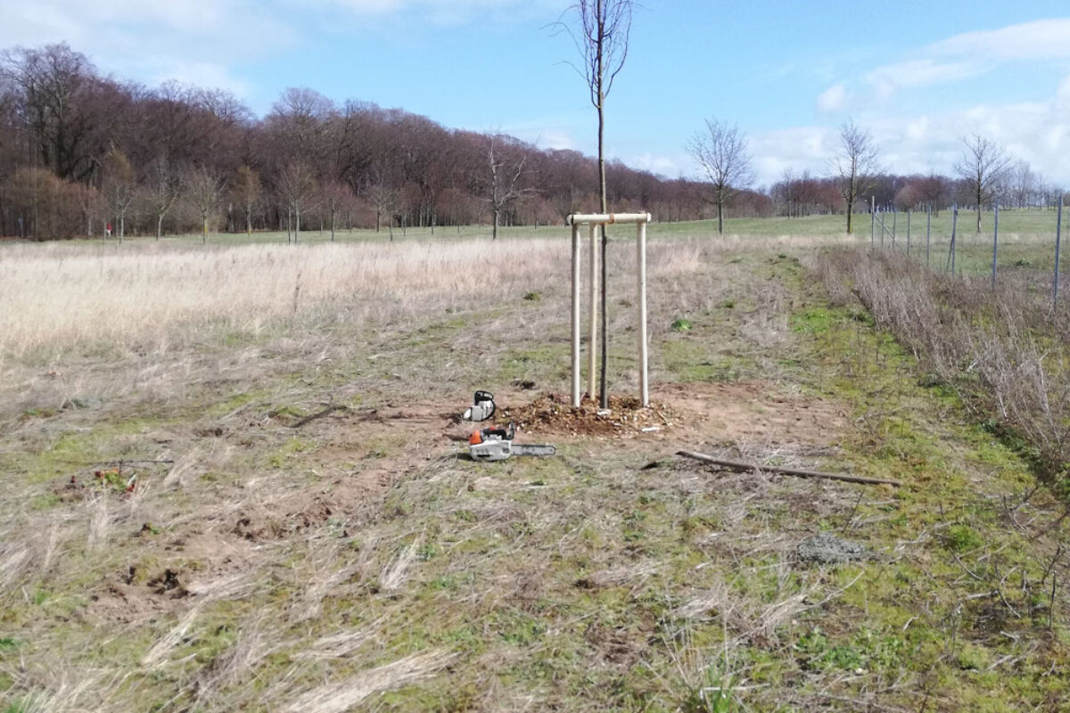 Landschaftspflege